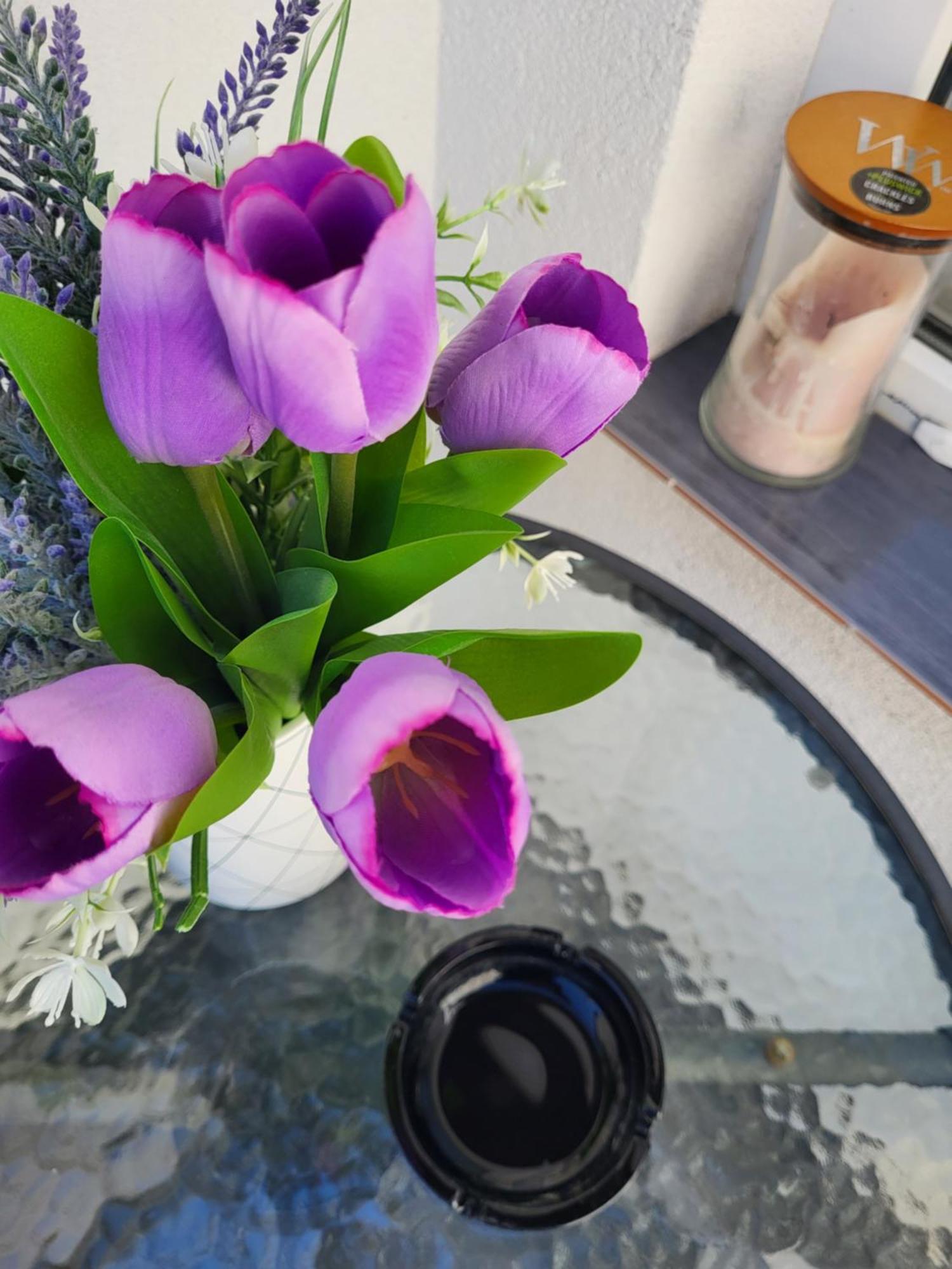 Purple Rooms Mostar Ngoại thất bức ảnh
